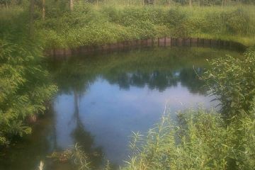 La testa nord del fontanile